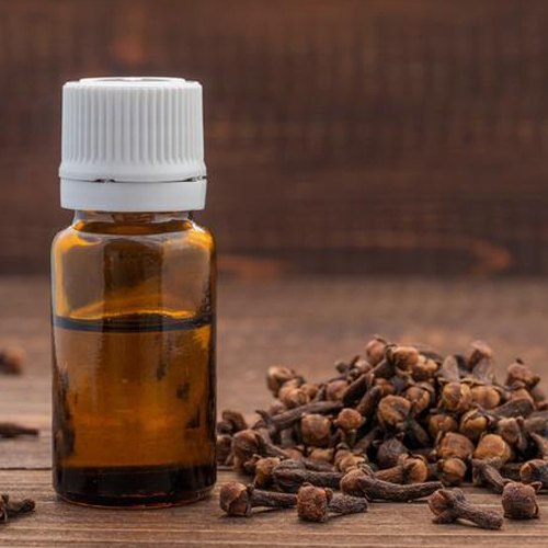 Natural Clove Bud Essential Oil, Extraction Type : Cold Pressed