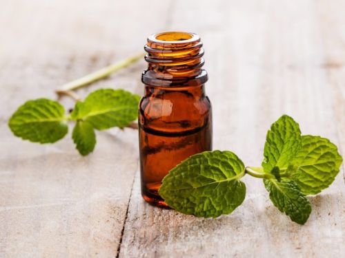 Spearmint Essential Oil, Shelf Life : 6Months 1Year