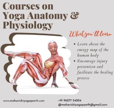 Yoga Anatomy and Physiology Course