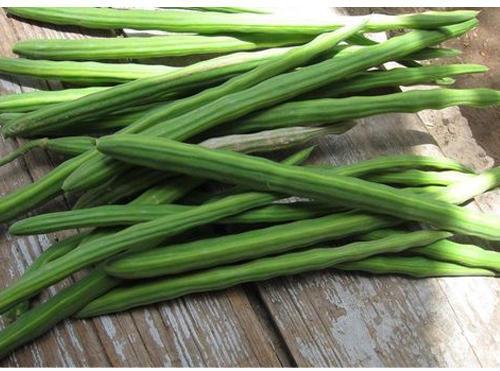 Organic Fresh Drumstick, Color : Green