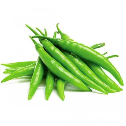Organic Fresh Green Chilli, For Good Nutritions, Good Health, Packaging Type : Plastic Packet