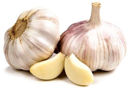 Organic Fresh Garlic, Packaging Type : Plastic Bags