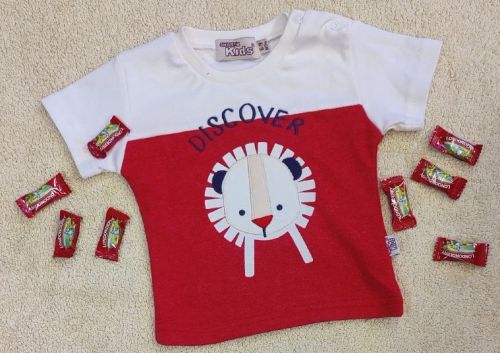 Printed 100% Cotton FLGBY01 Boys T-Shirt, Occasion : Casual Wear