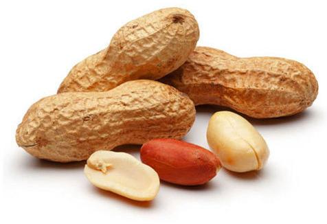 Groundnut, For Direct Consumption, Feature : Long Shelf Life