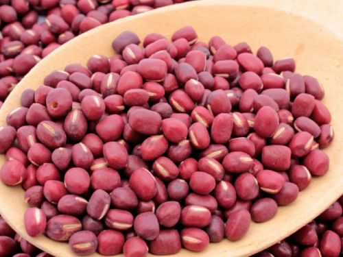 Adzuki Beans, Packaging Type : Plastic Pouch, Plastic Packet, Plastic Box, Paper Box