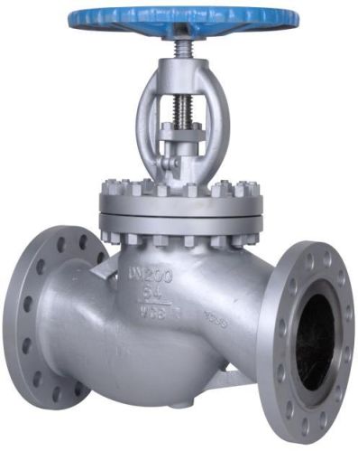 SS 304 Globe Valve, Packaging Type : Carton