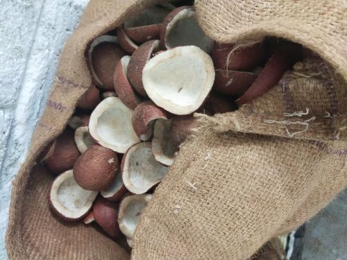 Dry Copra, Color : White, Red, Brown