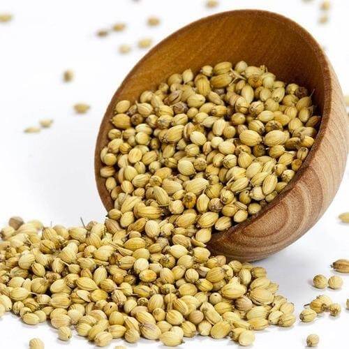 Natural Coriander Seeds, For Cooking, Packaging Size : 100gm, 200gm, 500gm