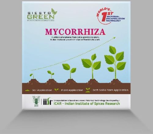 SIESTO GREEN Mycorrhiza Biofertilizer Capsules
