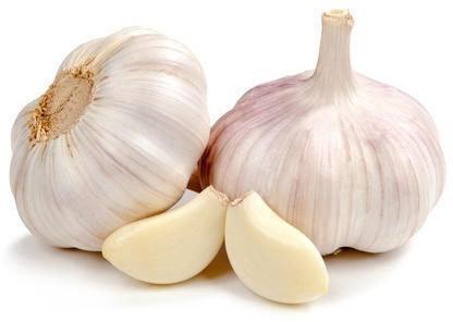 Raw Garlic, Shelf Life : 15days