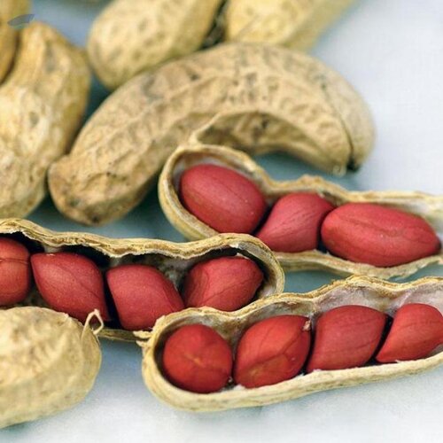 Peanut Nutritional Information : High In Protein, Fiber, Healthy Fats