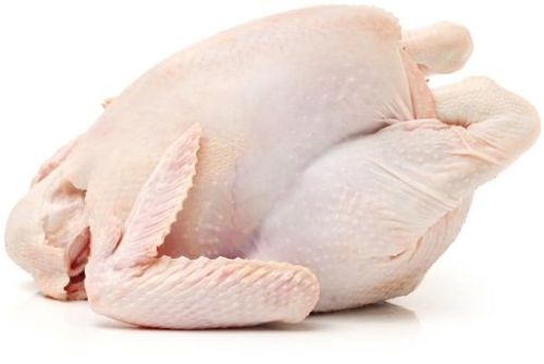 Frozen Chicken EXPORT GRADE HALAL FROZEN WHOLE CHICKEN / CHICKEN FEET/ CHICKEN PAW