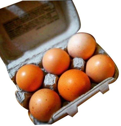 Organic Egg, Color : Brown