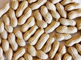 Organic Shelled Groundnut, Feature : Excellent Source Of Nutrients, Good For Health, Light Crispy