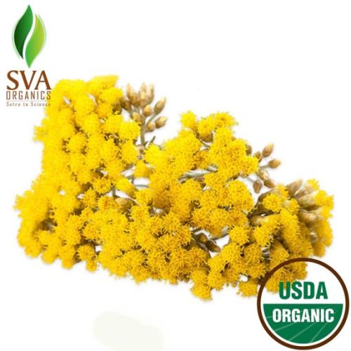 Helichrysum Italicum Essential Oil