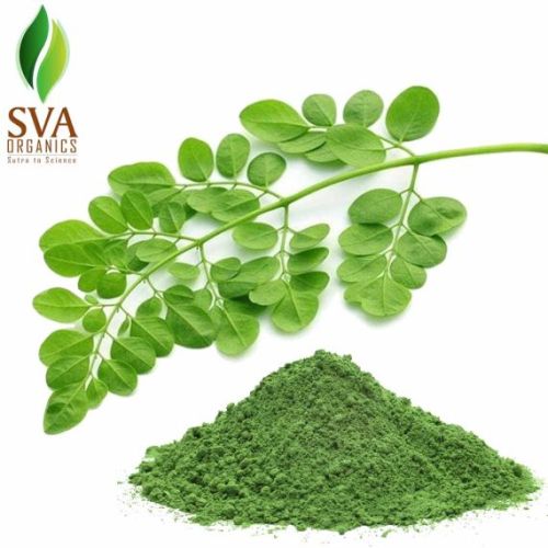 Moringa leaf powder, Benefits : Rich In Antioxidants And Nutrients