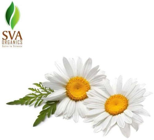 Nourishing Chamomile Facial Serum