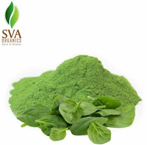 Spinach Powder