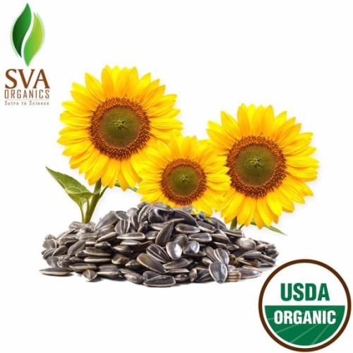 Sunflower Seed Oil