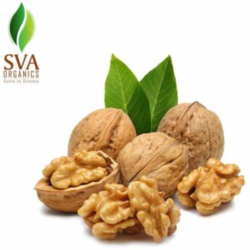 Walnut Oil