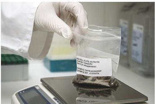 Poultry & Cattle Feeds