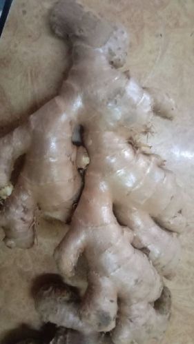 MMK EXPORT Organic Dried Ginger, Packaging Type : Plastic Packet