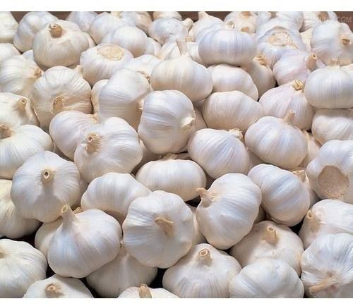 MMK EXPORT Organic Fresh Garlic, Packaging Type : Gunny Bags, Plastic Bags