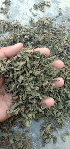 Organic Dried Mint Leaves, Feature : High Nutrition, Hygenically Packed