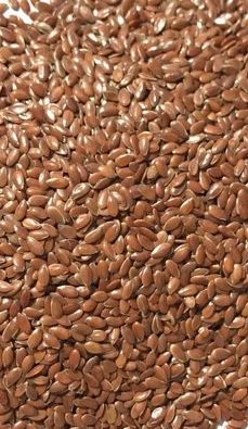 Organic Flax Seeds, For Oil, Packaging Type : Jute Bags