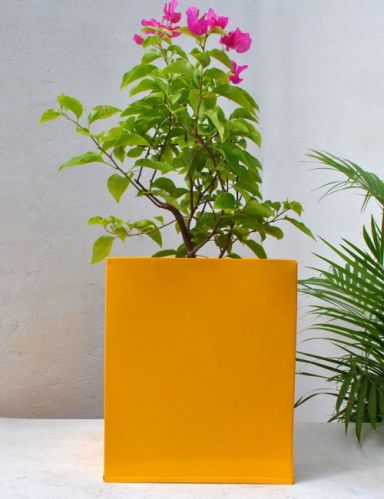 Square METAL SLAP PLANTER, Color : Green, Red, White, Yellow