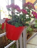 RAILING BUCKET POT