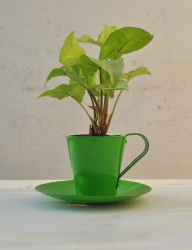 TABLE TOP METAL CUP AND SAUCER POT