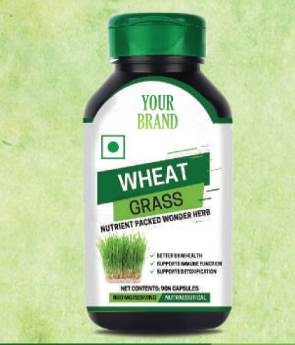 Wheat Grass Capsules, For Supplement Diet, Certification : FSSAI Certified