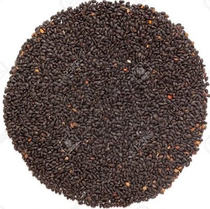 Organic Rama Basil Seeds, Packaging Size : 40-50kg