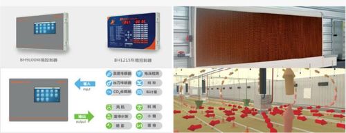 Steel Electric 100-1000kg Per Unit EC POULTRY EQUIPMENTS, Certification : CE Certified, ISO 9001:2008