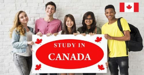 Canada Study Consultancy