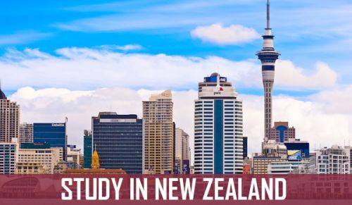 New Zealand Study Consultancy