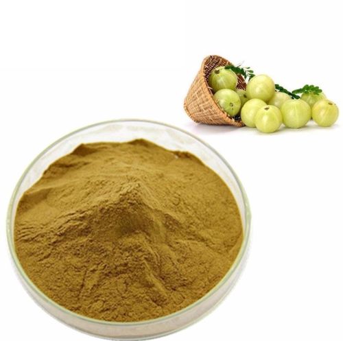 Herboil Chem Amla Extract