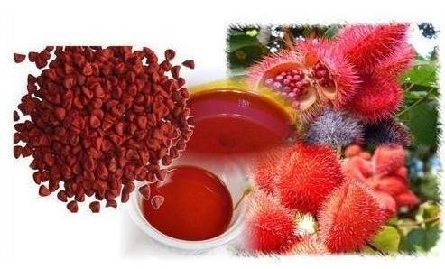 Annatto Color