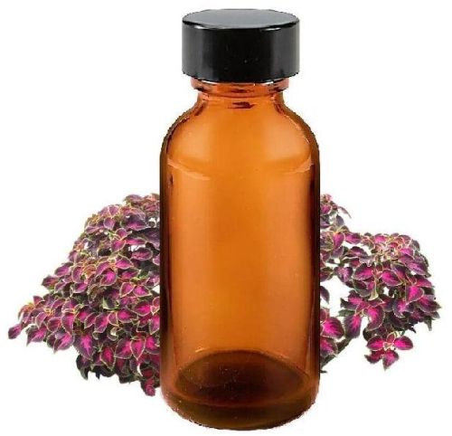 Coleus Oil