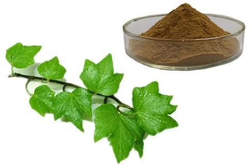 Herboil Chem Ivy Leaf Extract, Form : Powder