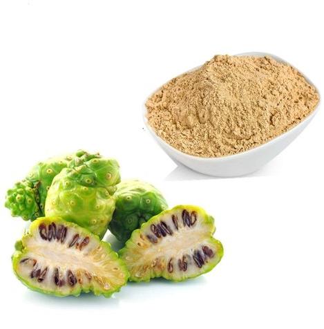 Herboil Chem Morinda Citrifolia Extract