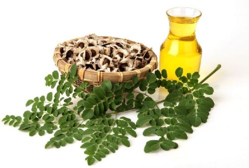 Herboil Chem Moringa Oil, Color : Light Yellow