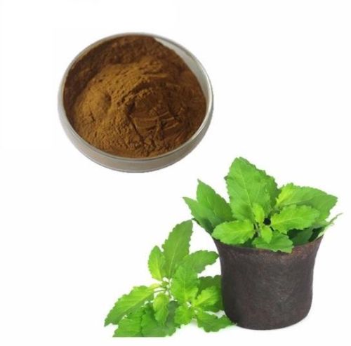 Ocimum Sanctum Extract, Form : Powder