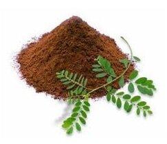 Herboil Chem Phyllanthus Niruri Extract