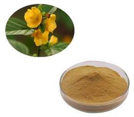 Sida Cordifolia Extract, Purity : 100%