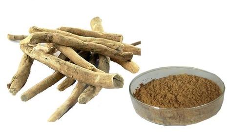 Roots Withania Somnifera Extract, For Herbal Products, Supplements