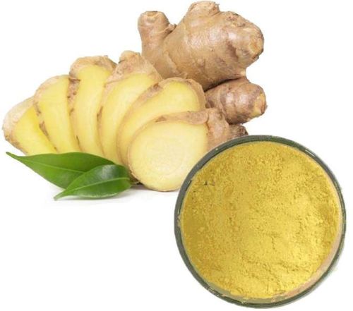 Organic Zingiber Officinale Tuber Extract