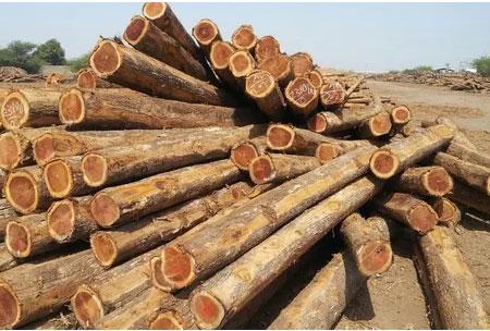 Brown Round Plain Polished Teak Wood Logs