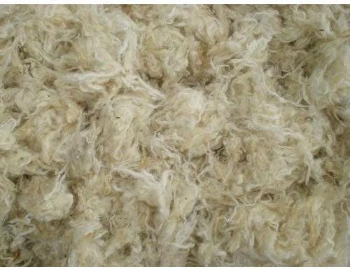 Raw Wool, Pattern : Greasy/Scoured